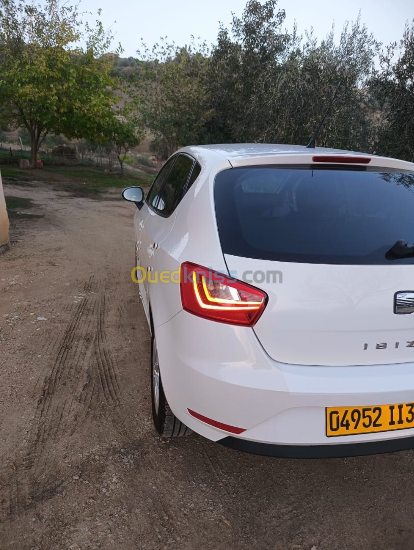 Seat Ibiza 2013 Fully