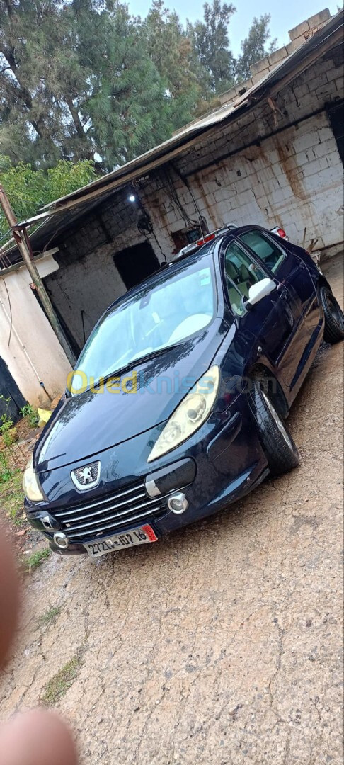 Peugeot 307 2007 307