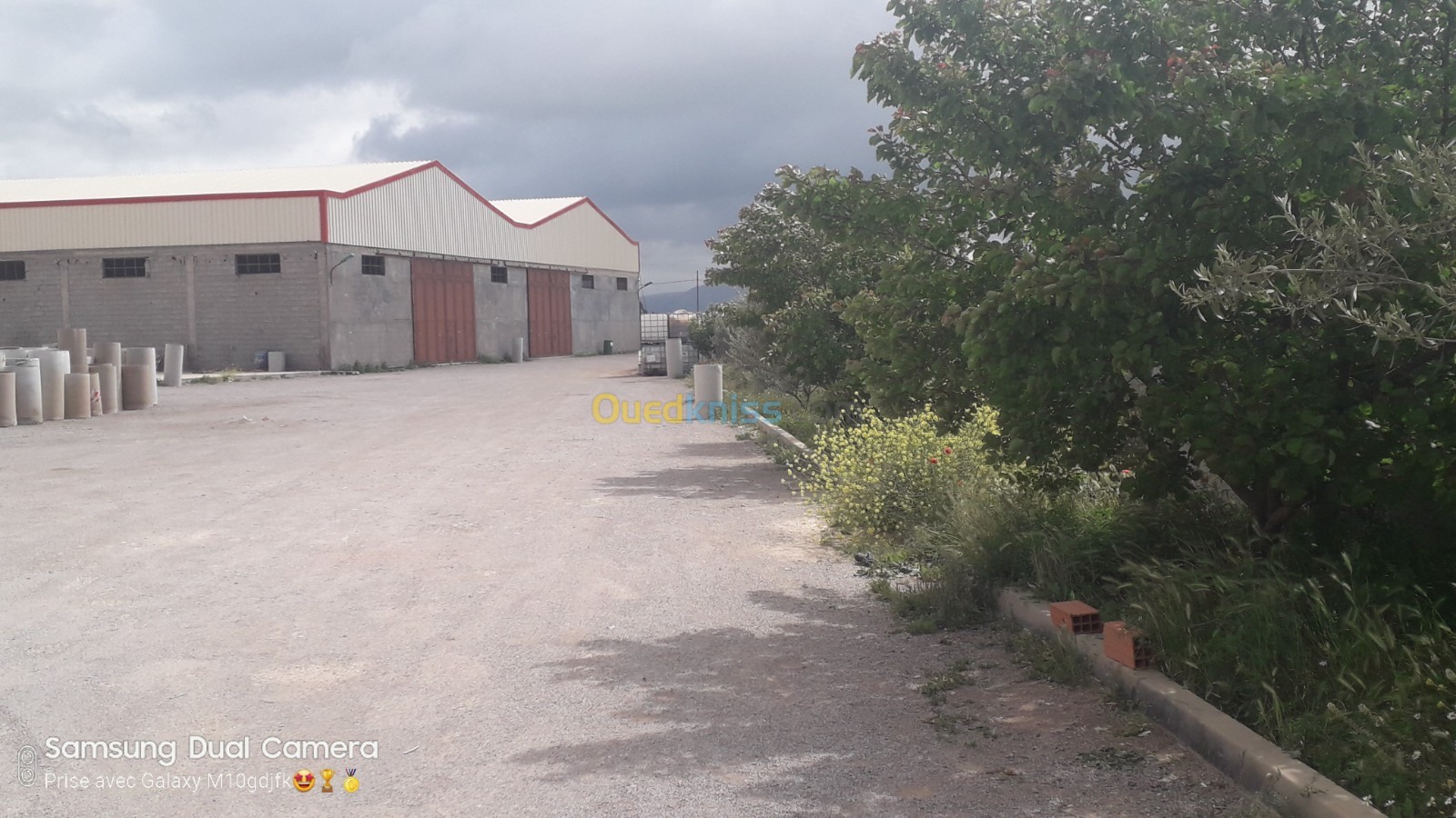 Location Hangar Sétif Guidjel