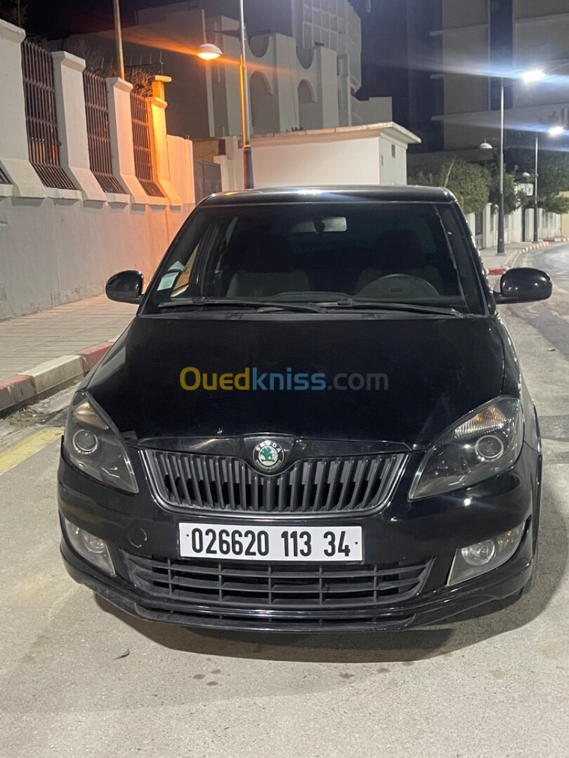 Skoda Fabia 2013 Monte carlo