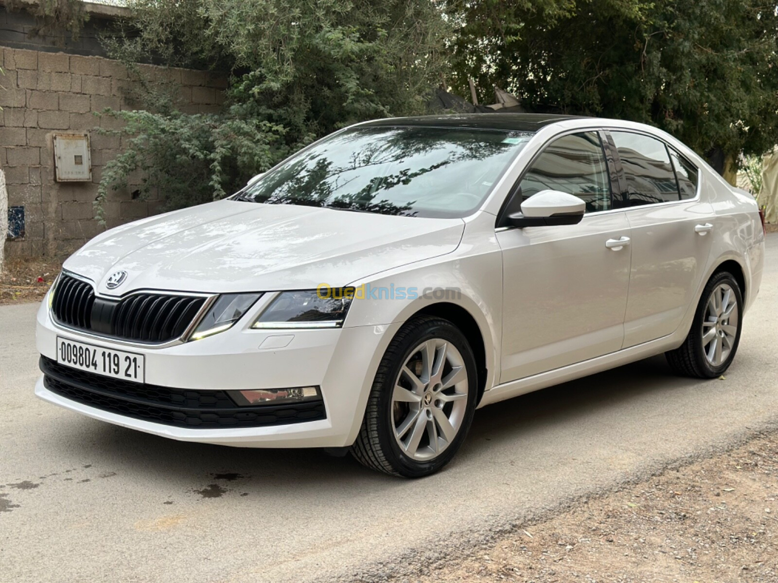 Skoda Octavia 2019 Clever