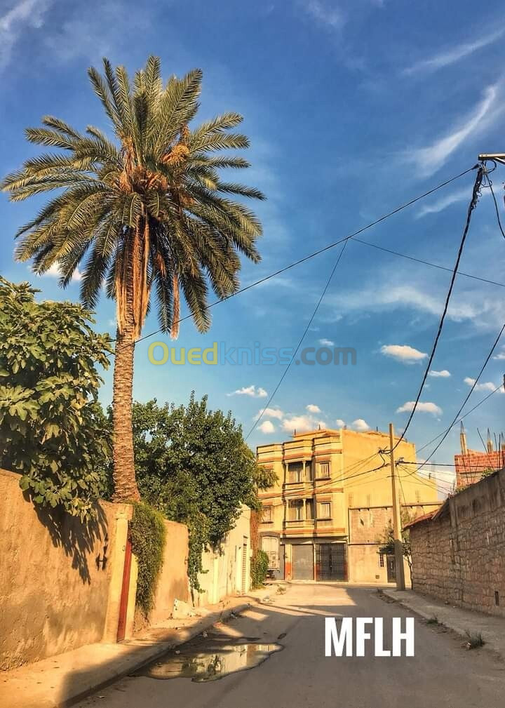 Vente bien immobilier Oum El Bouaghi Ain mlila