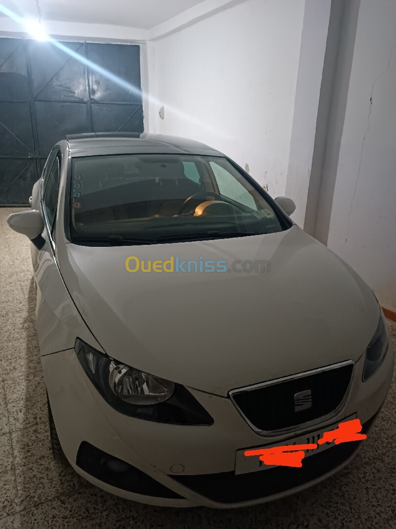 Seat Ibiza 2011 Ibiza