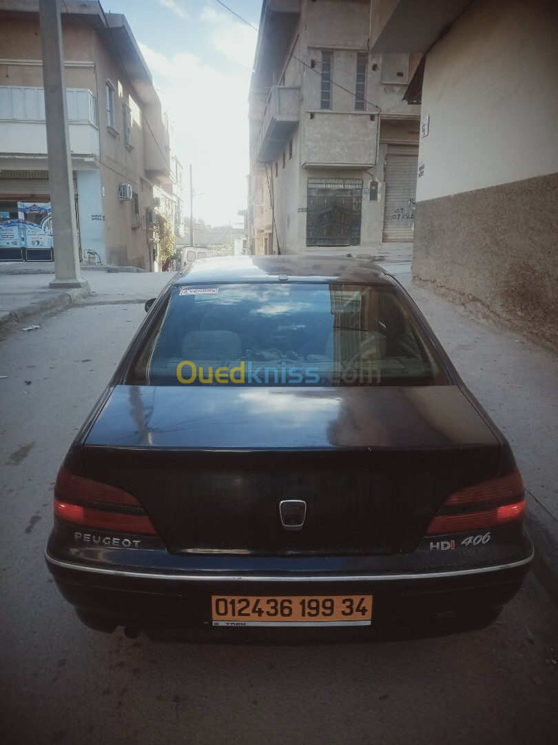 Peugeot 406 1999 406