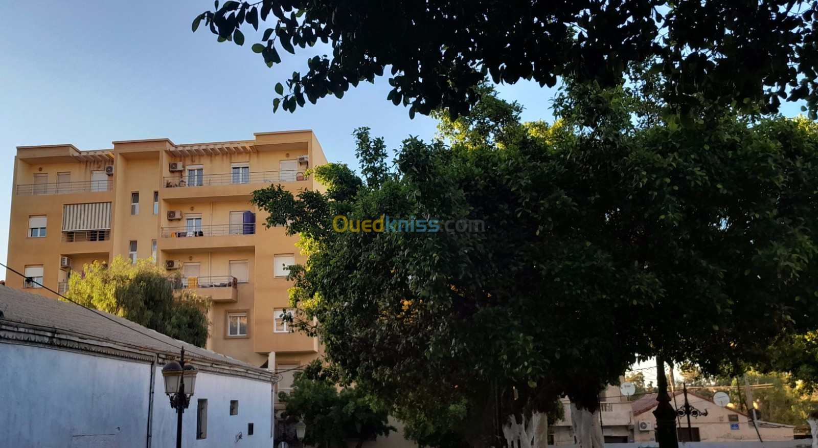 Vente Appartement F3 Alger Cheraga