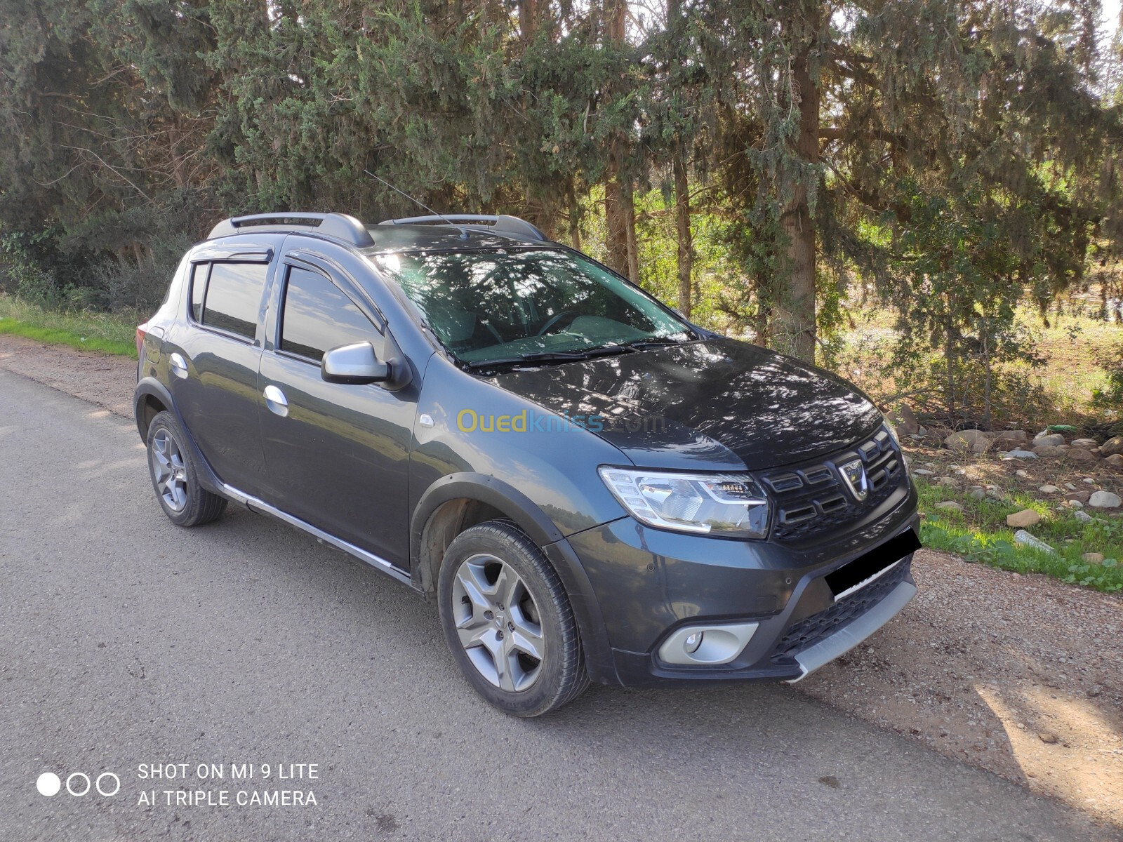 Dacia stepway 2017 