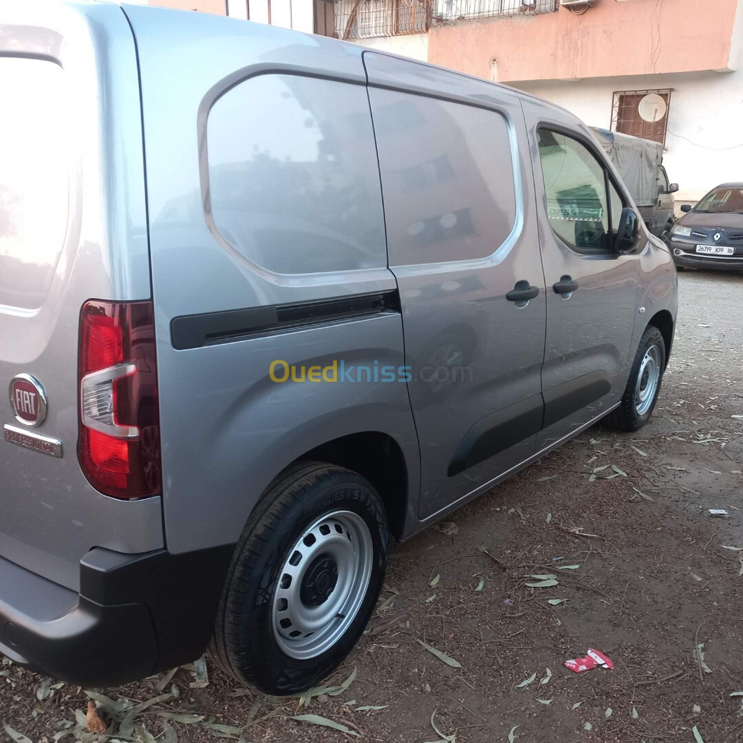 Fiat Doblo 2024 Professional