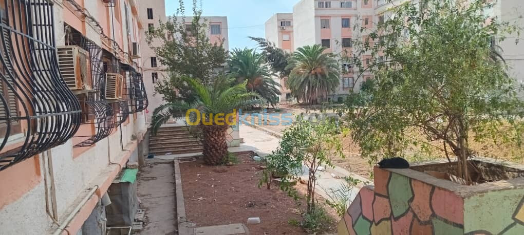 Vente Appartement F5 Alger Ain naadja