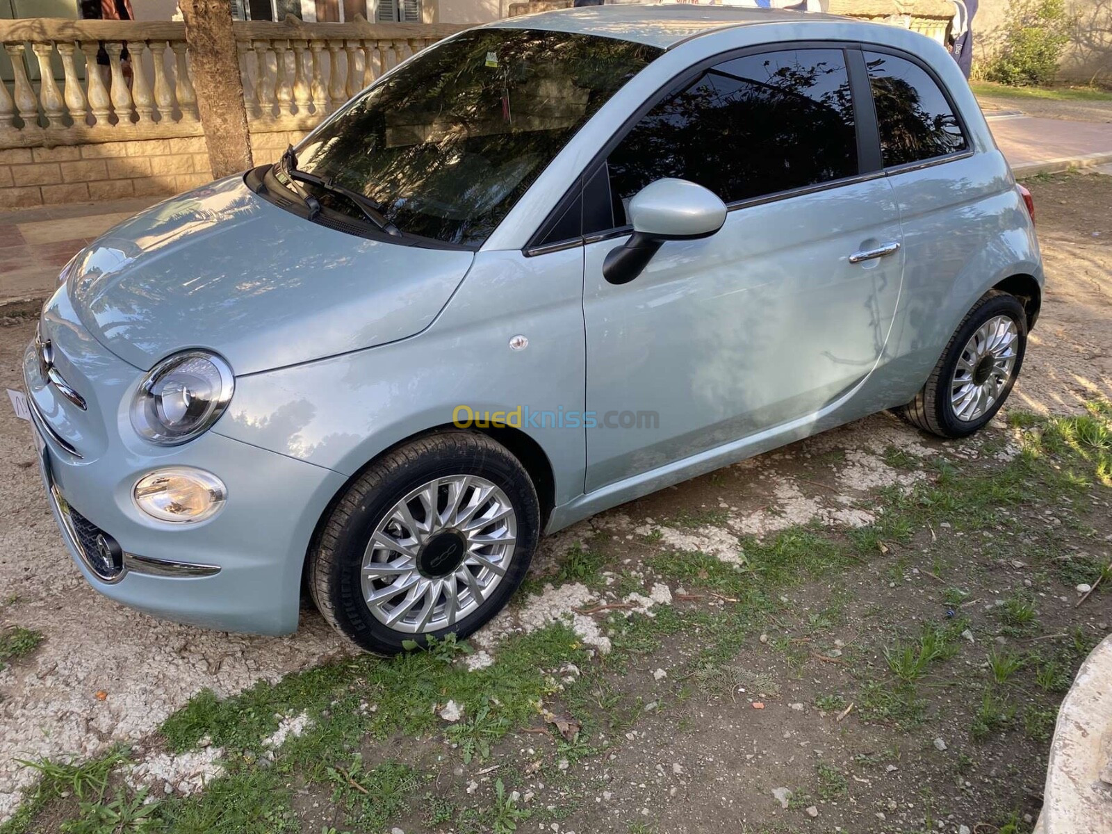 Fiat 500 2024 Delcevita