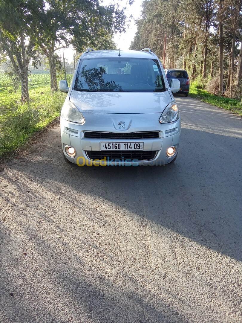 Peugeot Partner 2014 Tepee