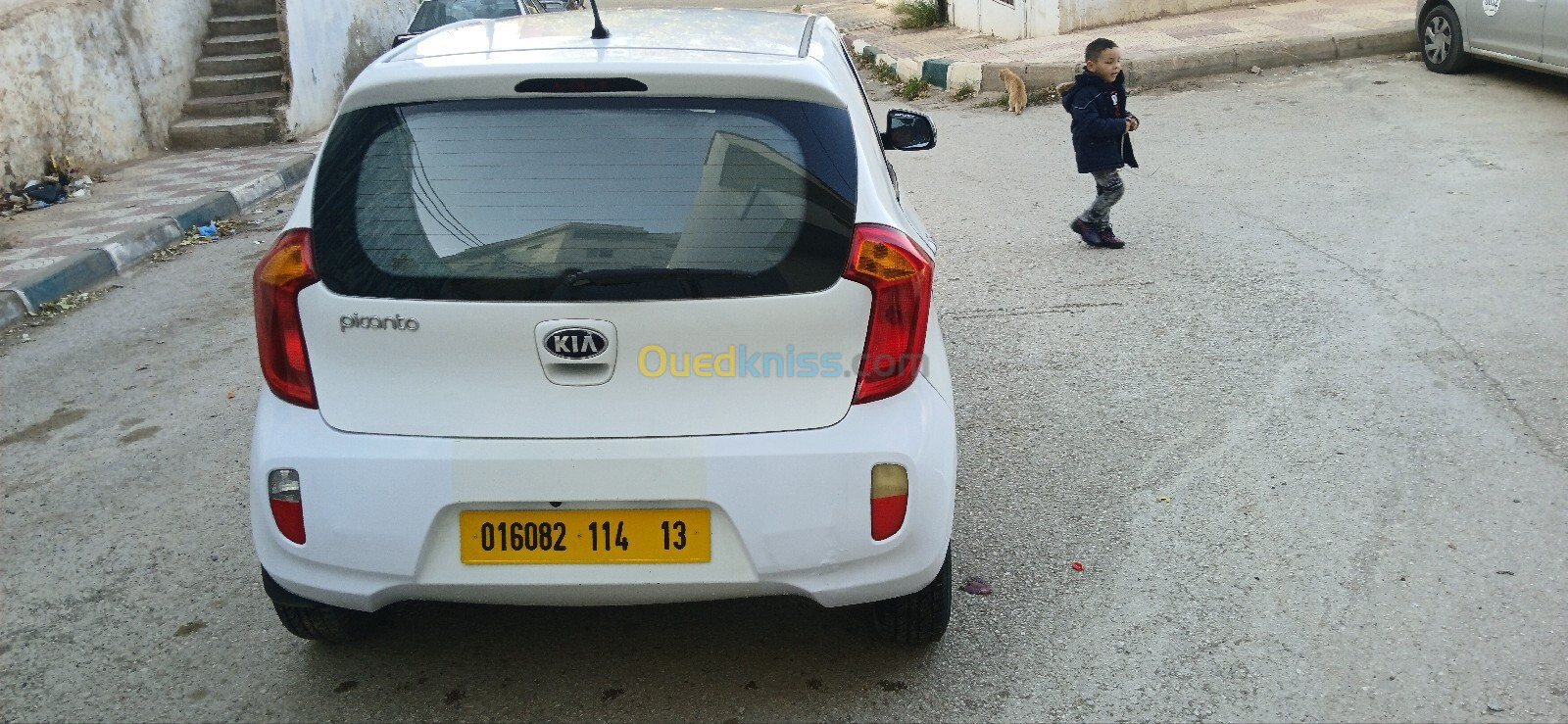 Kia Picanto 2014 Funny