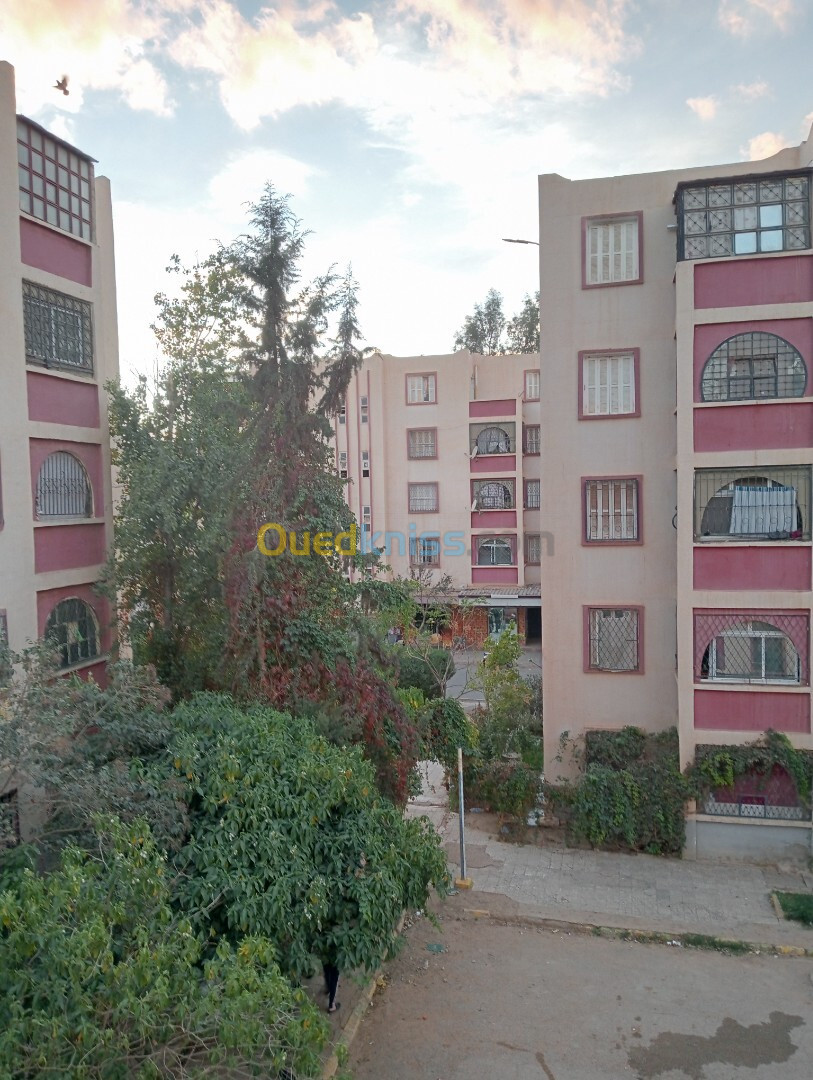 Vente Appartement F3 Saïda Saida