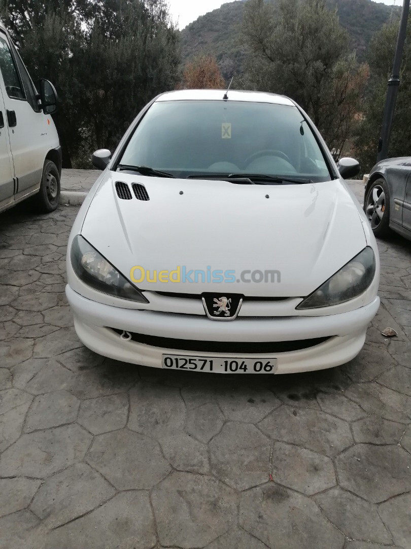 Peugeot 206 2004 206