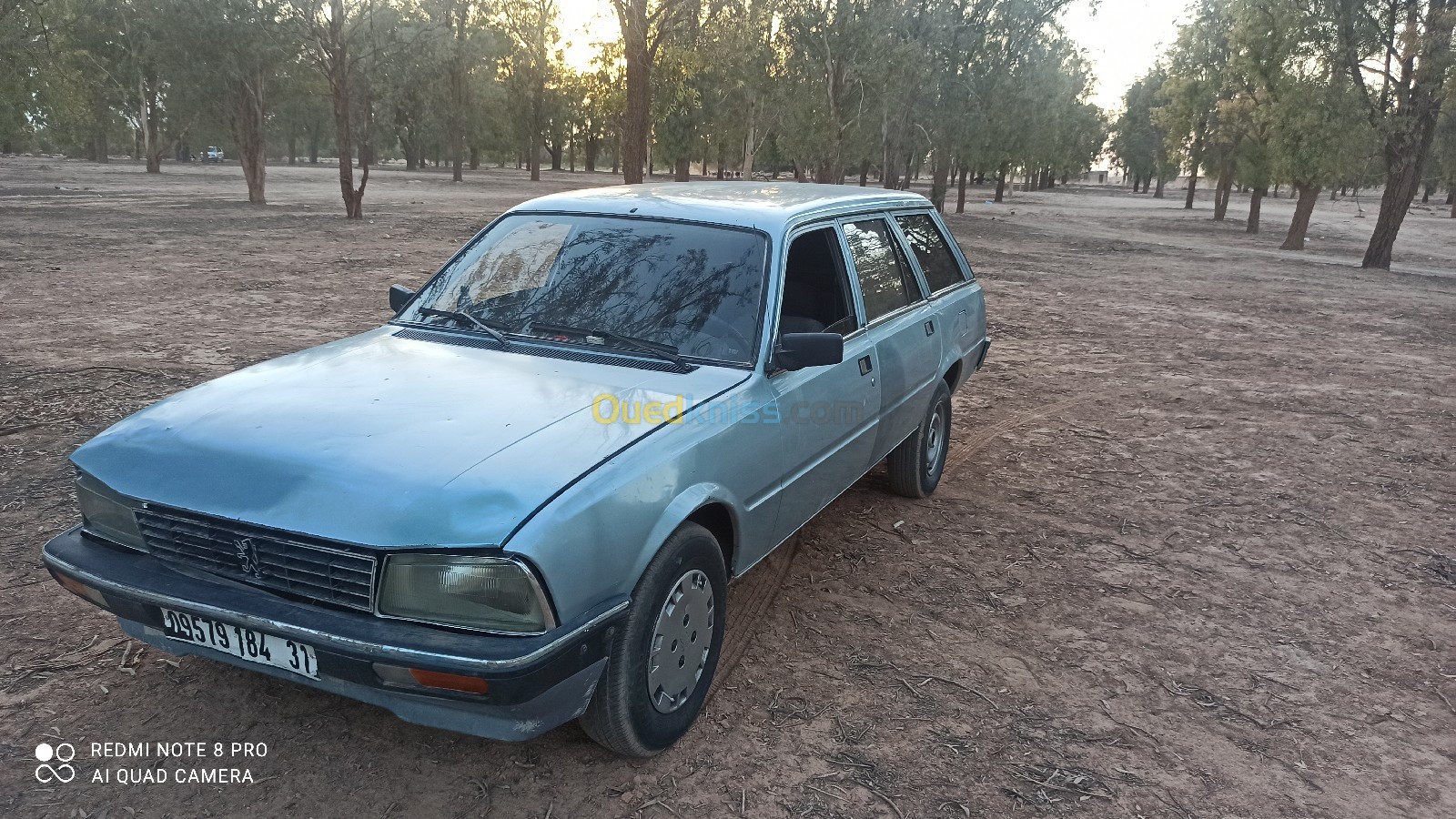 Peugeot 505 1984 505