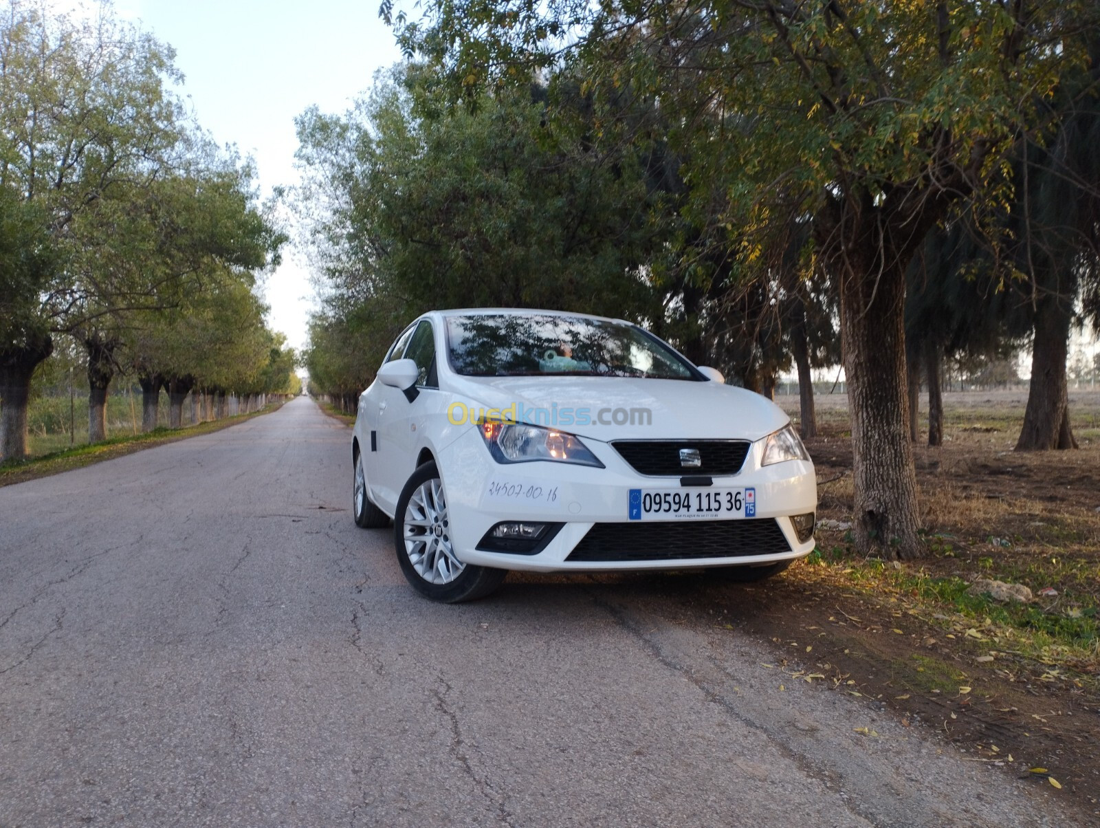 Seat Ibiza 2015 Fully