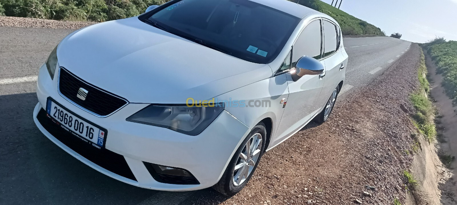 Seat Ibiza 2013 Fully