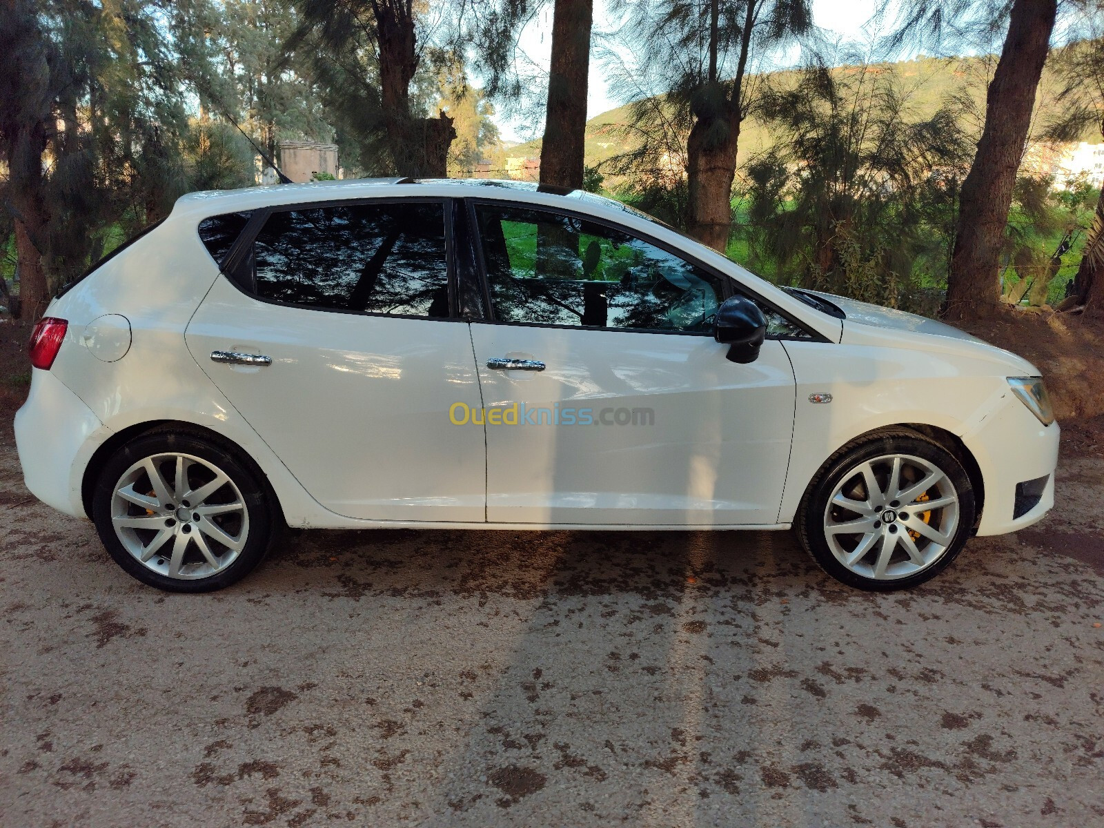 Seat Ibiza 2013 FR