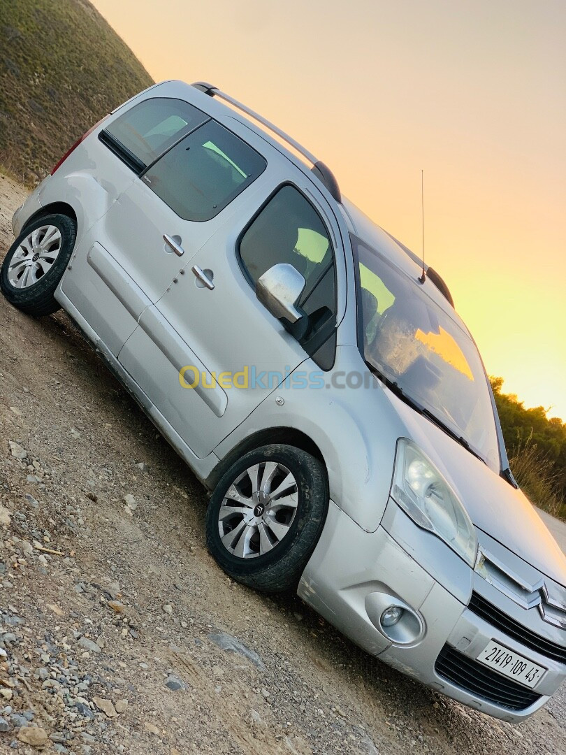 Citroen Berlingo 2009 