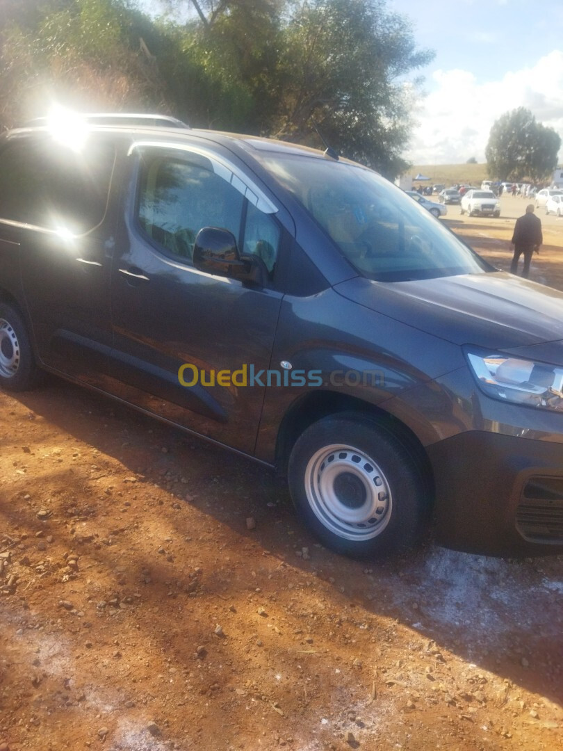 Fiat Doblo 2024 Professionnel