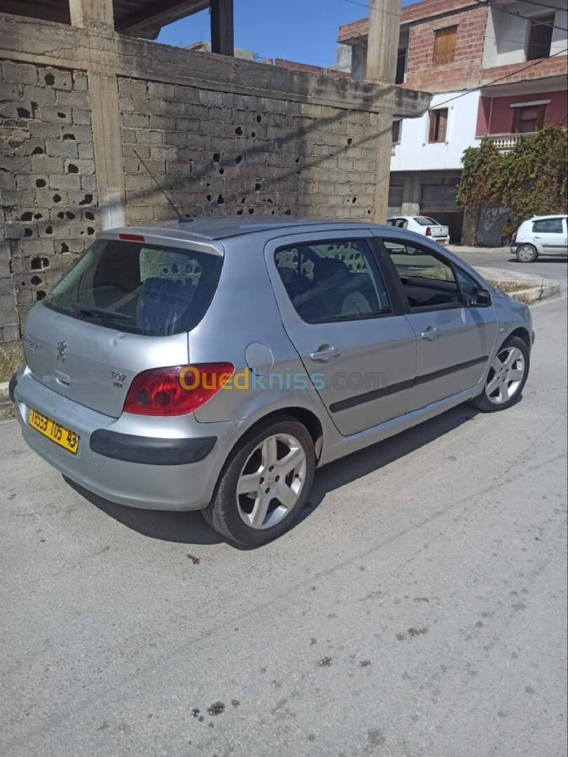 Peugeot 307 2005 307