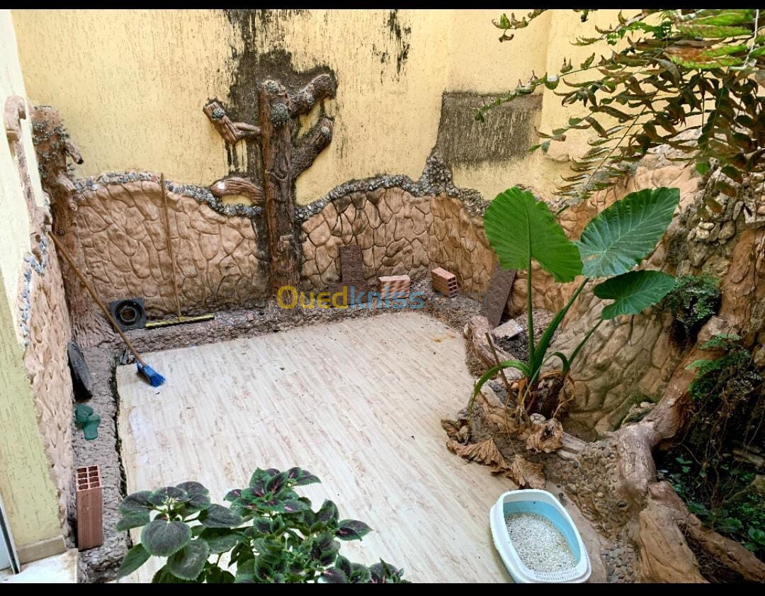 Vente Appartement F5 Alger Alger centre