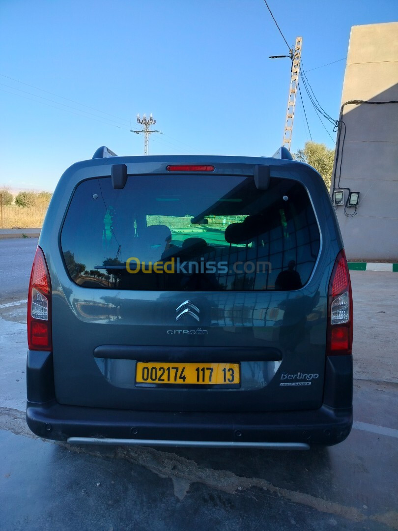 Citroen Berlingo 2017 Berlingo