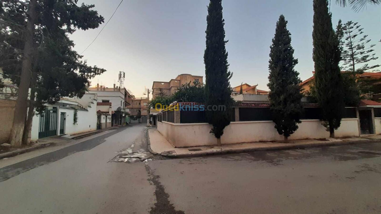 Vente Villa Blida Blida