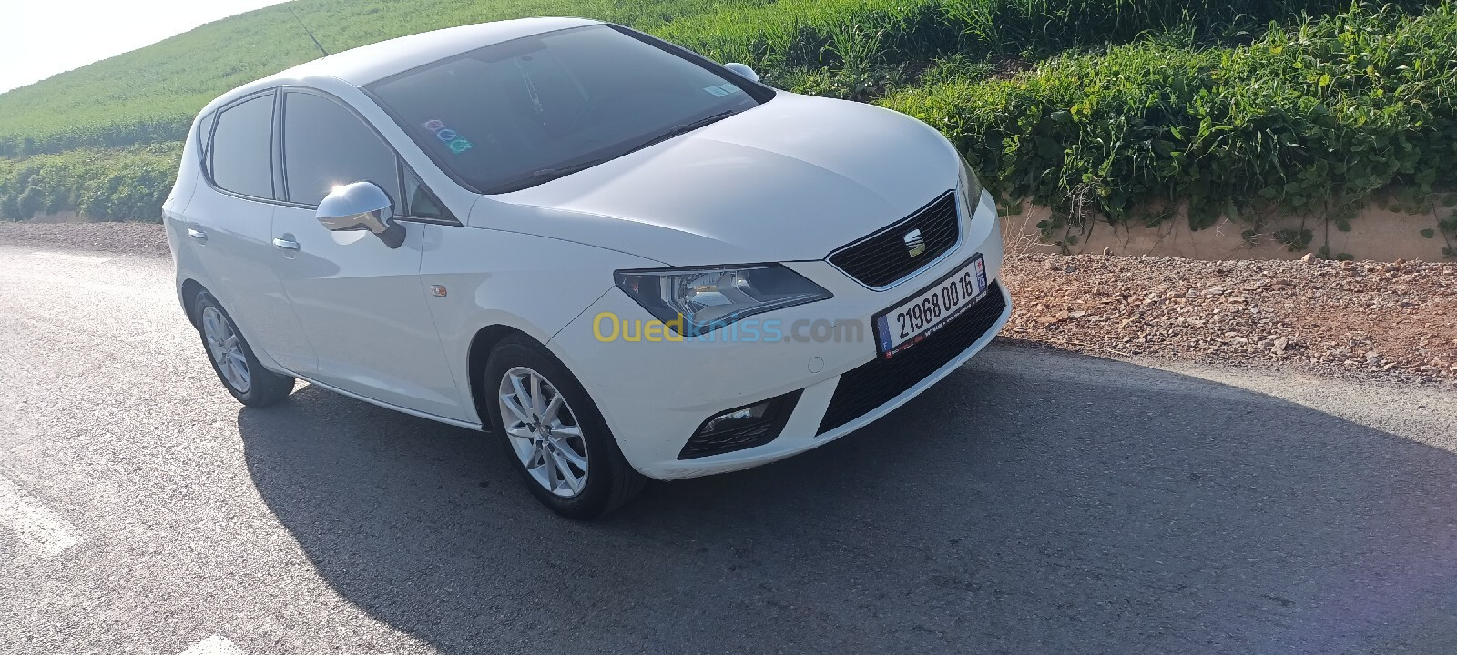 Seat Ibiza 2013 Fully