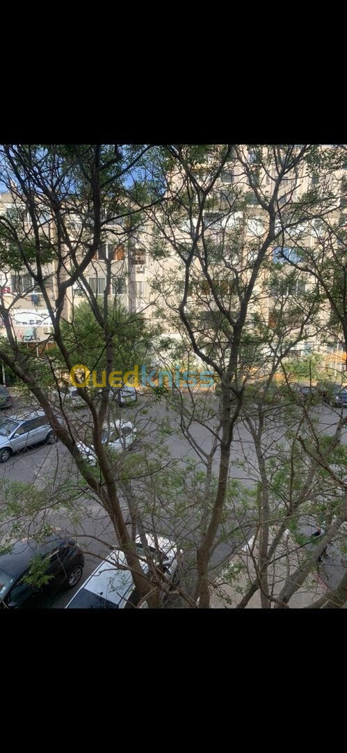 Location Appartement F4 Alger Cheraga