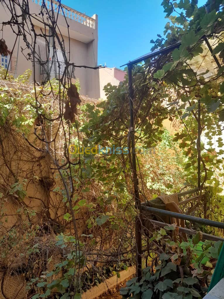 Vente Villa Sidi Bel Abbès Sidi bel abbes