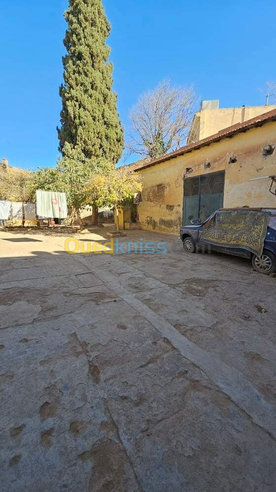 Vente Carcasse Sidi Bel Abbès Sidi bel abbes