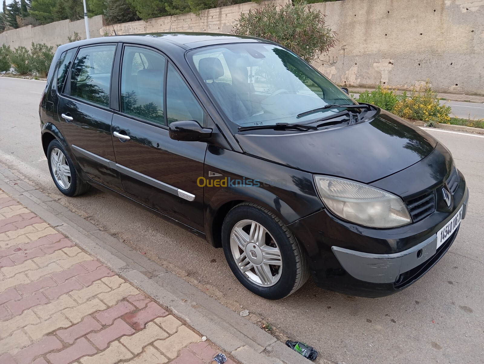 Renault Scenic 2006 Scenic