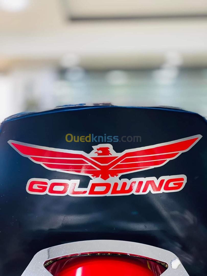 Goldwing Honda 2013