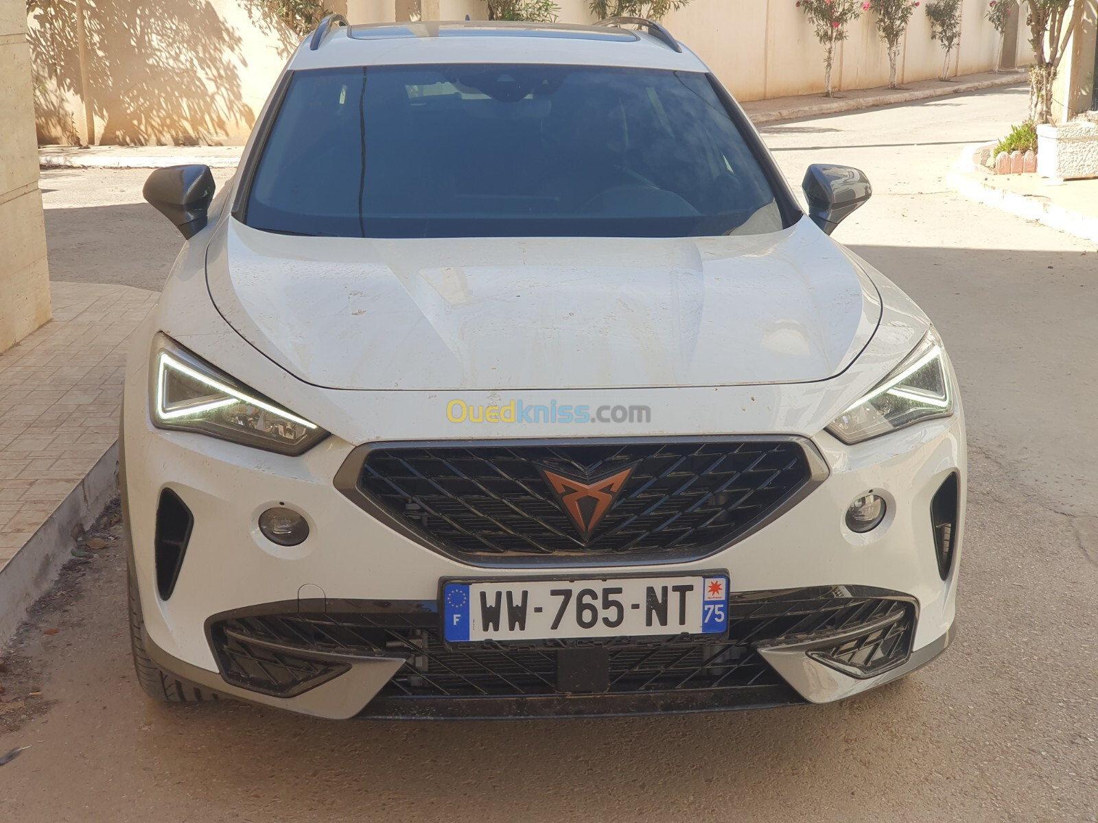 Cupra Formentor 2023 Fr+