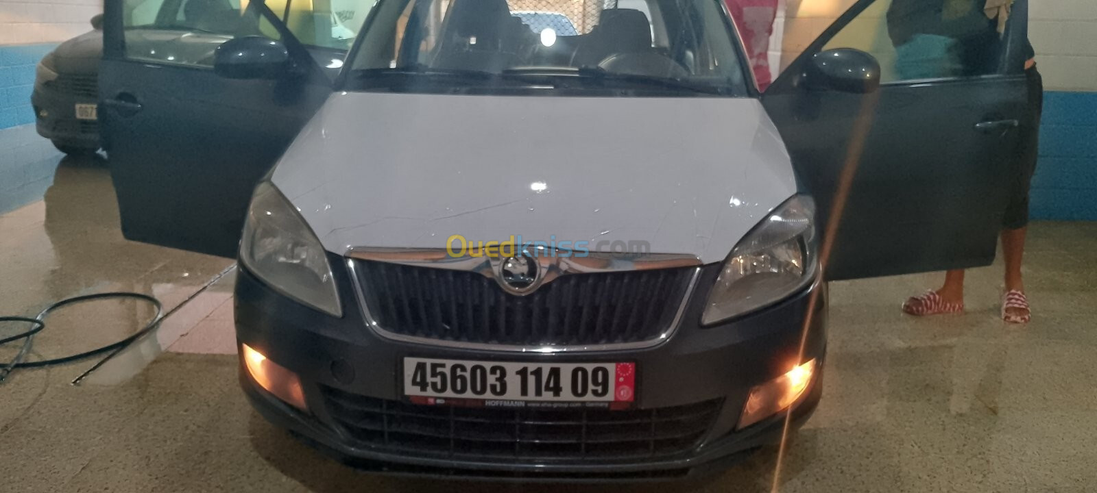 Skoda Fabia 2014 Visage