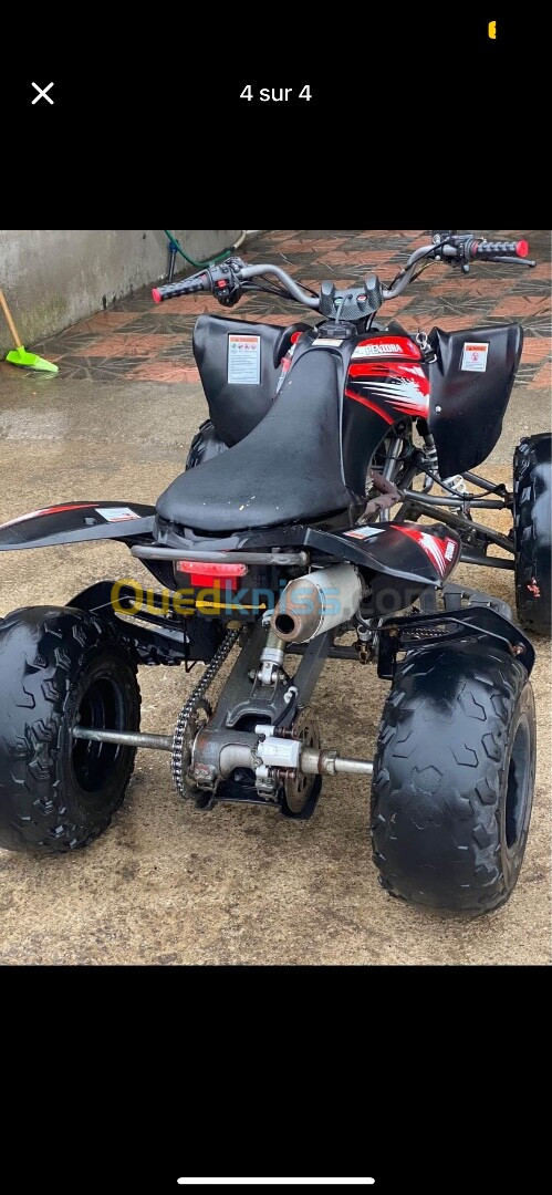 Vms Raptor 250 2022