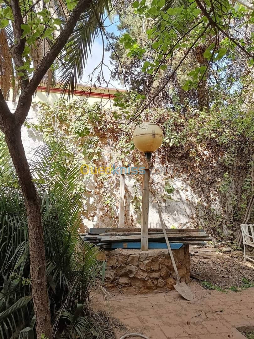 Vente Villa Sidi Bel Abbès Sidi bel abbes