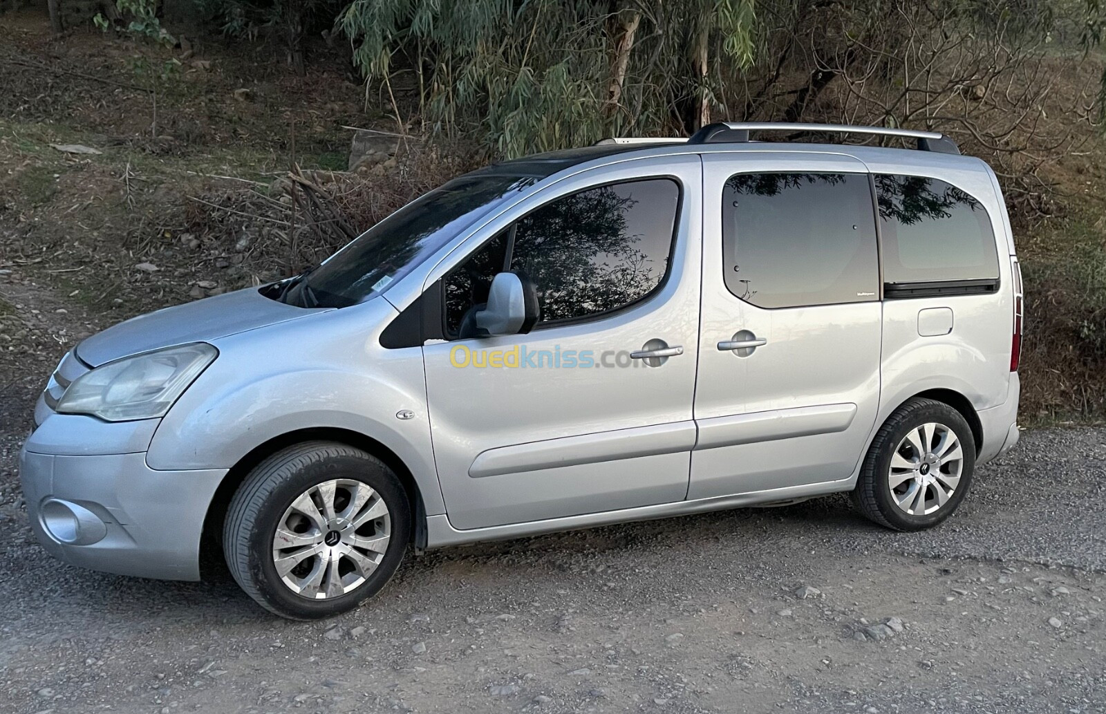 Citroen Berlingo 2010 Berlingo