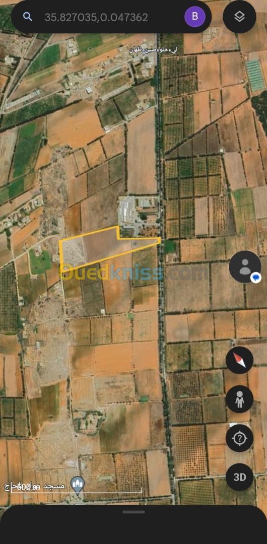 Vente Terrain Agricole Mostaganem Hassi maameche