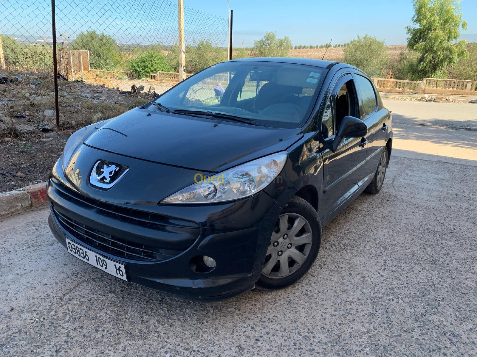 Peugeot 207 2009 