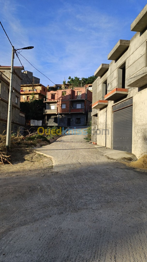 Vente Terrain Tipaza Cherchell