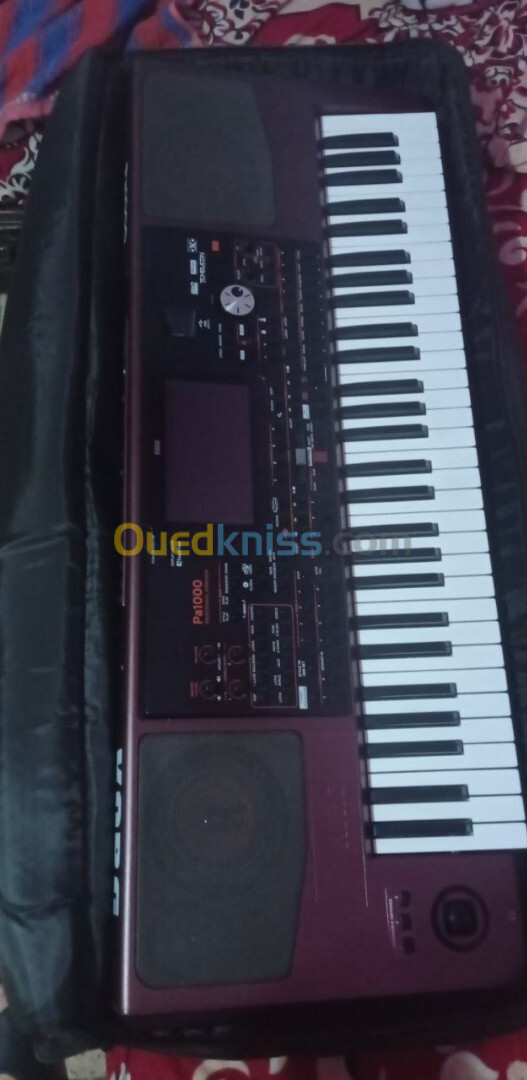 korg pa 1000