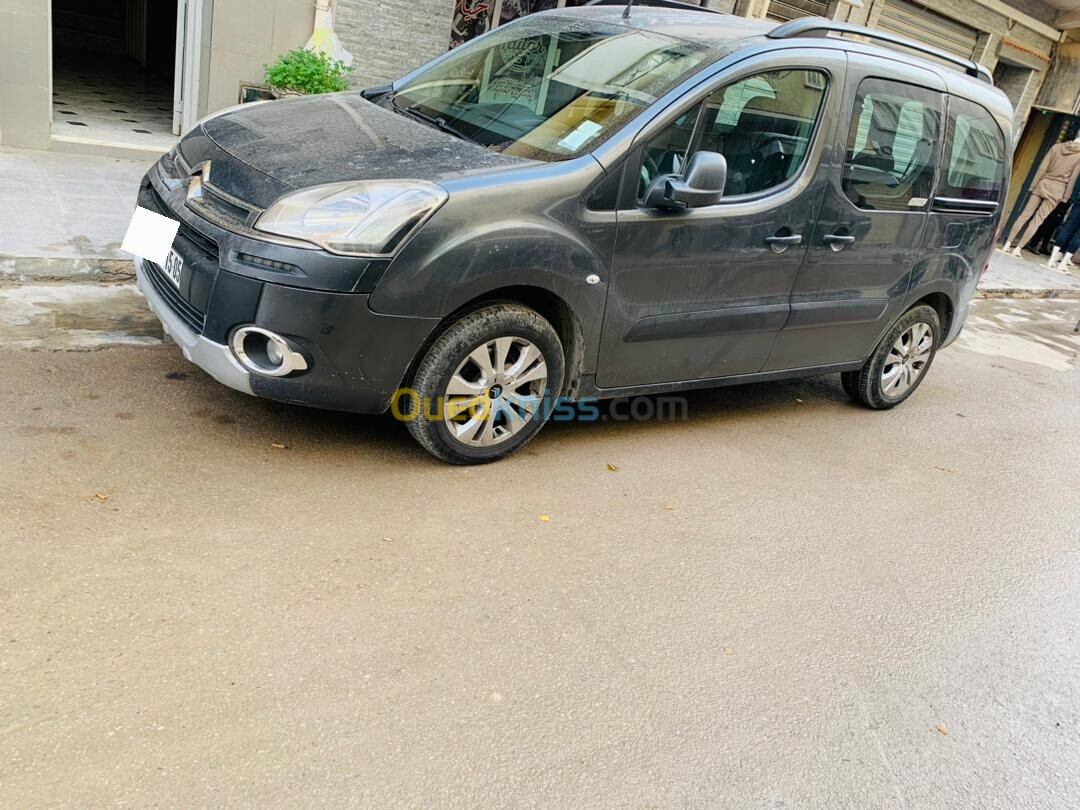 Citroen Berlingo 2015 Teppe