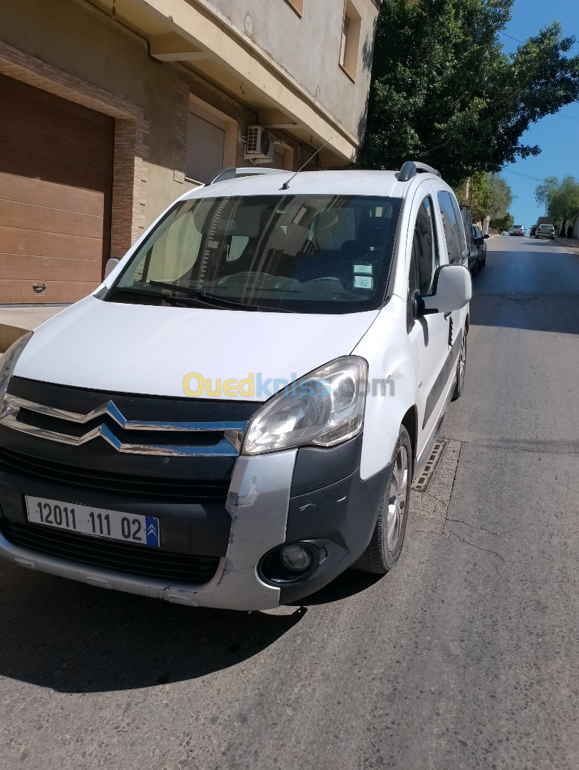 Citroen Berlingo 2011 Berlingo