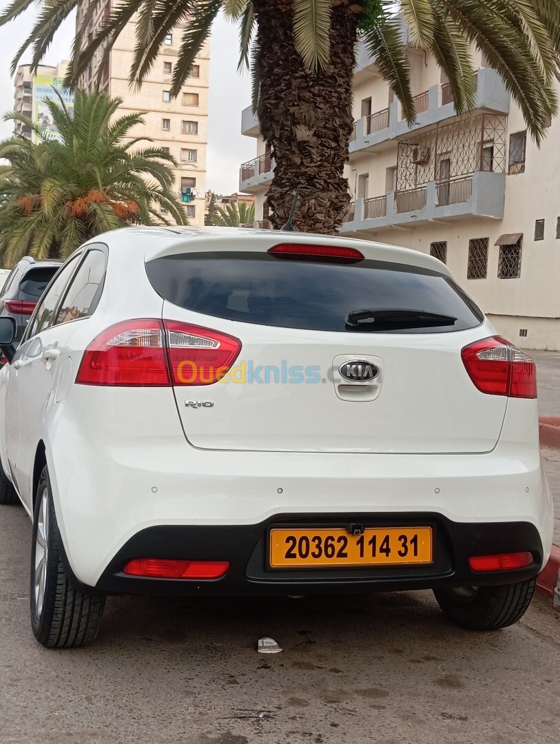 Kia Rio 5 portes 2014 Funny