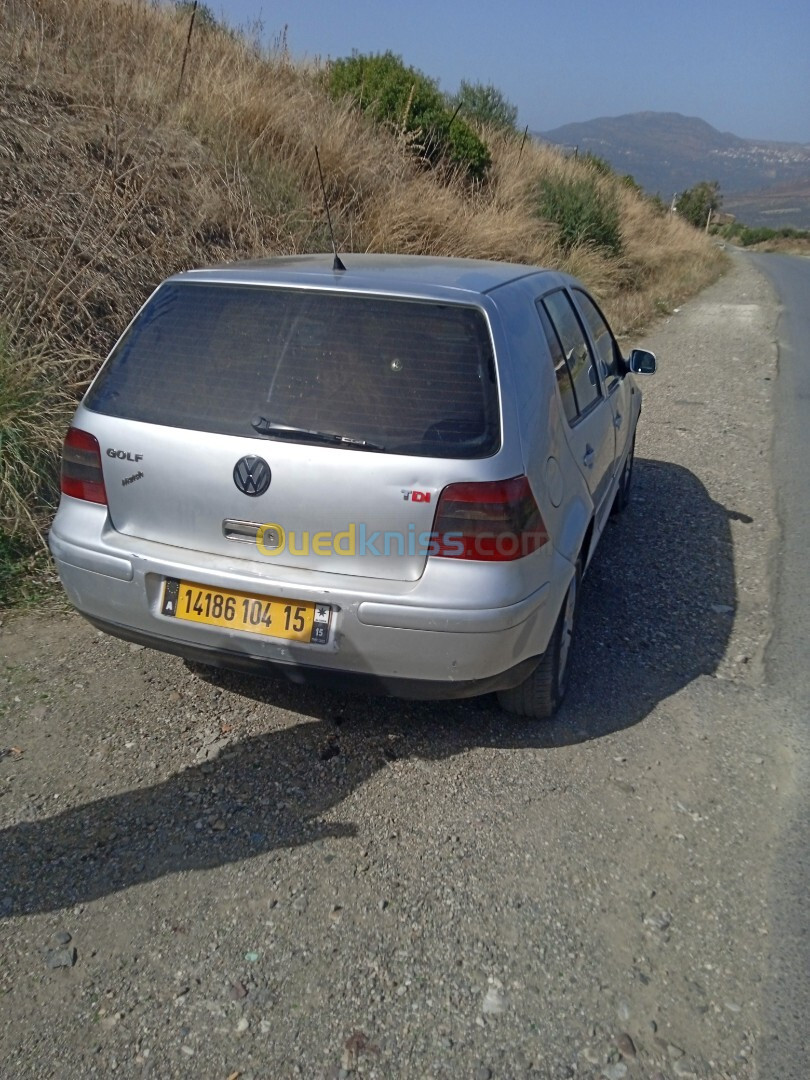 Volkswagen Golf 4 2004 Golf 4