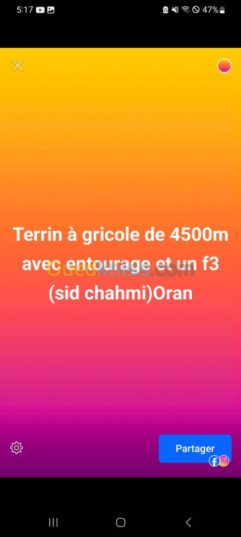 Vente Terrain Oran Sidi chami