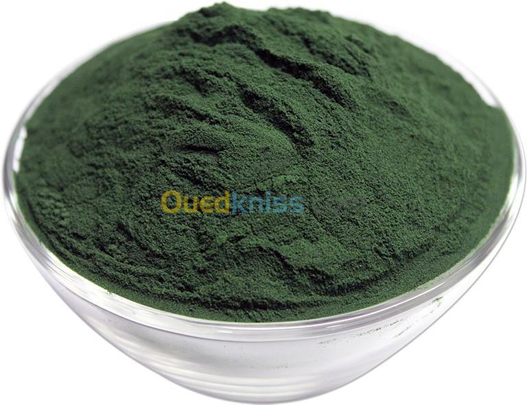 Spiruline Spirulina en Gros / سبيرولينا سبيرولين جملة