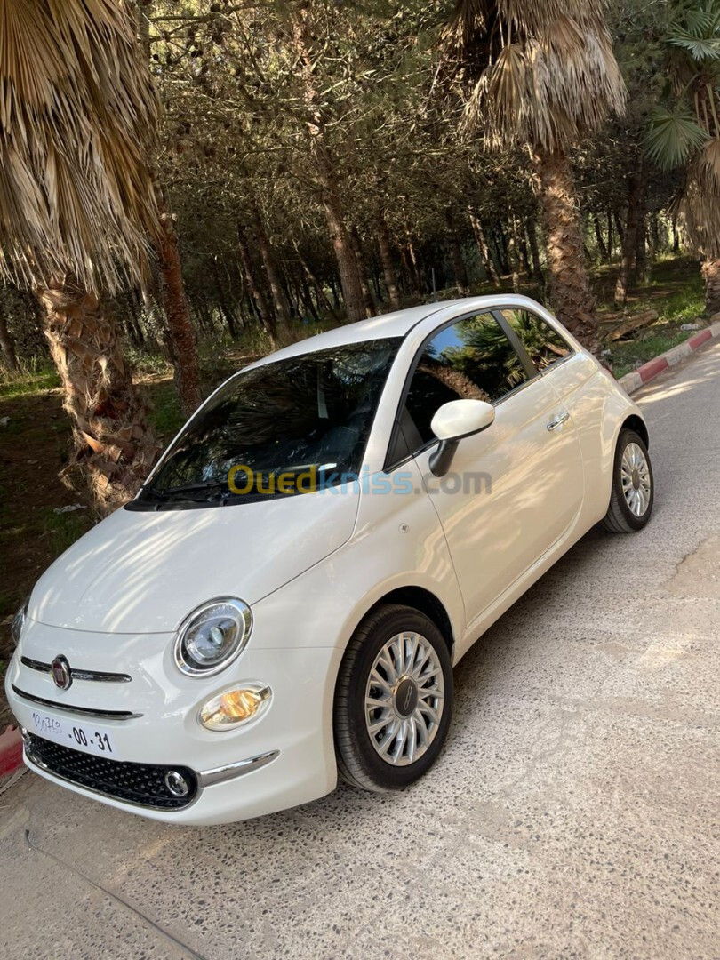 Fiat 500 2024 