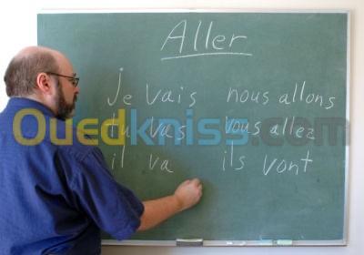 Professeur Français Anglais